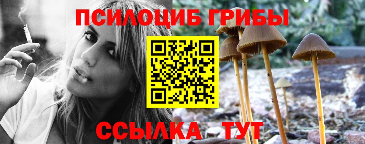 где можно купить наркотик  Псилоцибиновые грибы мицелий  Вход с VPN  Лабытнанги 